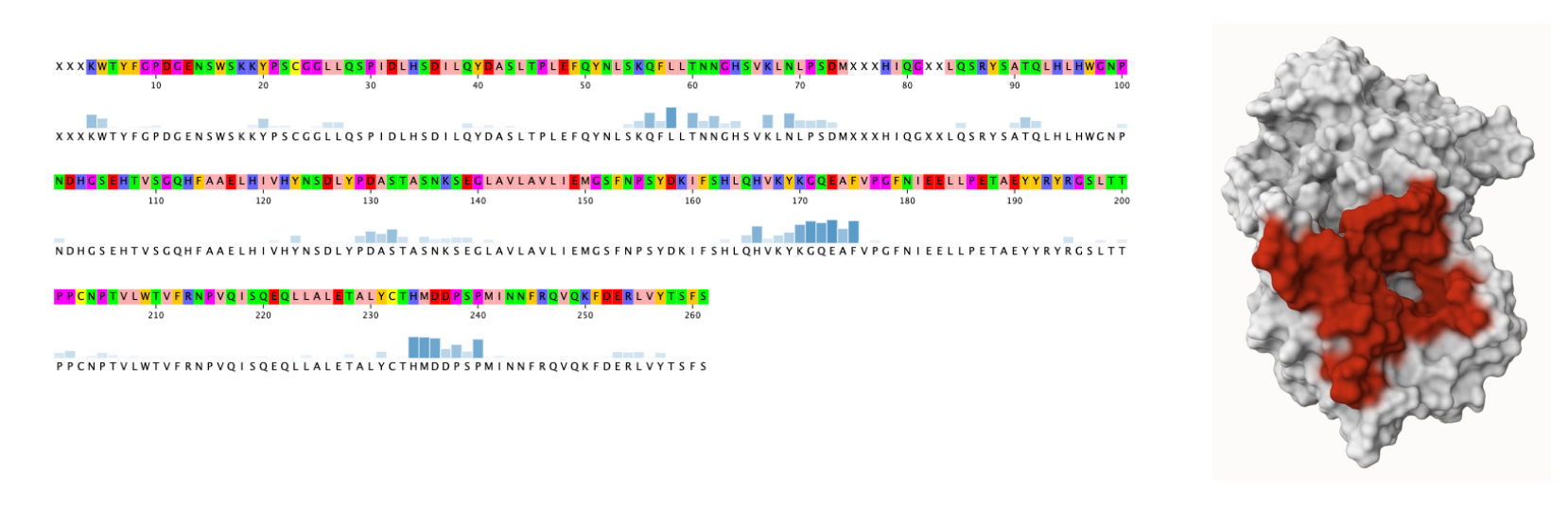 Epitopemapping